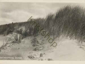 Schiermonnikoog - Duinen  [002-3495