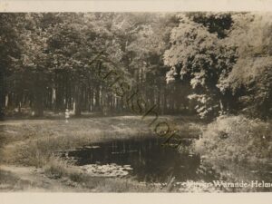 Helmond - Vijver Warande [002-3510