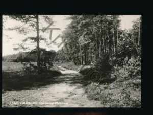 Lage Vuursche - Omgeving Pluismeer [002-3810
