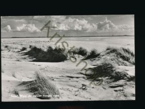Texel - Waar de natuur hoogtij viert [002-3818