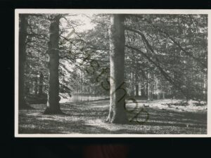 Baarn - Landgoed Groeneveld [002-3827