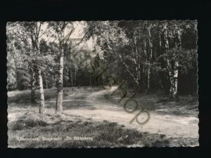 Oosterbeek - Bosgezicht De Bilderberg [002-3848