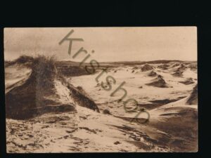 Bergen - Schoorl - De Wildernis [002-3920
