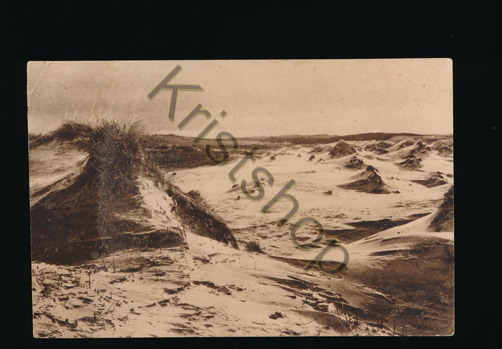 KRST002-3920_0.jpg Bergen - Schoorl - De Wildernis [002-3920