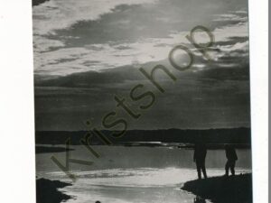 Texel - Slufter - Avondstemming [002-3924