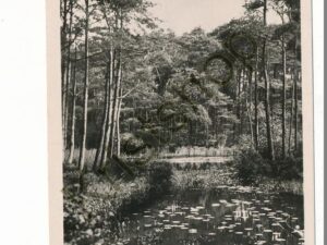 Oisterwijk - van Esch Ven [002-3926