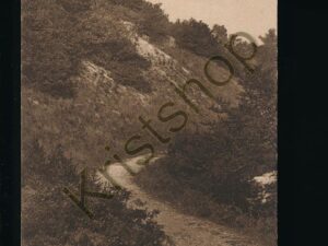 Bergen en Schoorl - de Klimweg [002-3929
