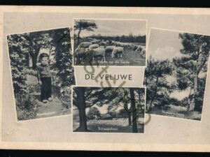 De Veluwe [002-4032