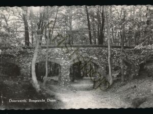 Doorwerth - Bosgezicht Duno [002-4036