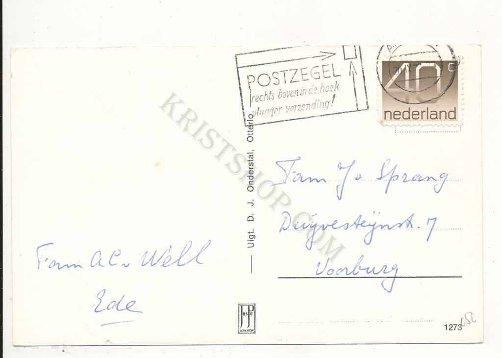 KRST002-4052_1.jpg Otterlo - Jeneverbessen Otterlose Bos [002-4052 - Afbeelding 2