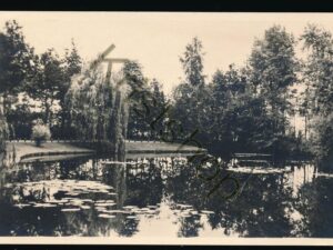 Eindhoven - Vijver Stadswandelpark [002-4072
