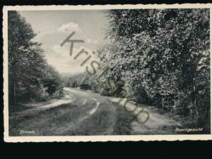 Ermelo - Boschgezicht [002-4073