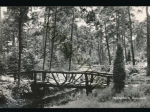 Driebergen - Bosgezicht [002-4086