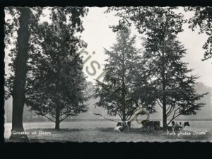 Doorn - Park Huize Doorn [002-4089