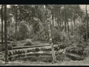 Driebergen - Koekepan [002-4094