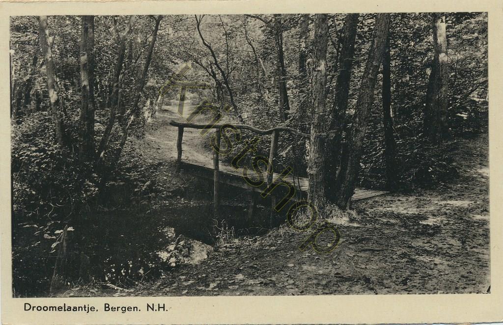 Bergen (NH) - Droomelaantje [002-4437