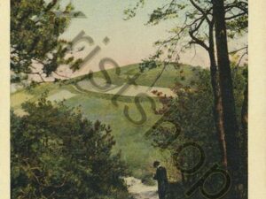 Berg en Dal - omgeving Duivelsberg  [002-4856