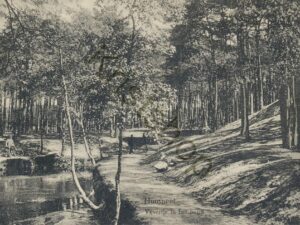 Nunspeet - Vijvertje in het bosch  [002-4894