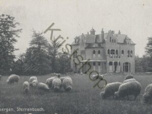 Driebergen - Sterrenbosch [002-4898