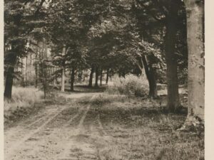 Bilthoven  [002-4917