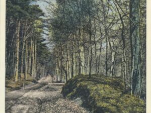 Maarn [002-4943
