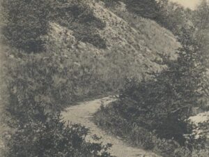 Schoorl - De Klimweg [002-4991