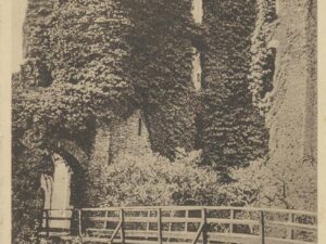 Santpoort - Ruine van Brederode [002-4994