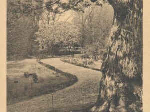 Leiden - Hortus Botanicus [002-5095