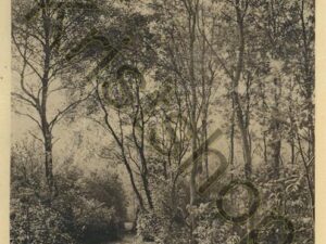 Noordwijkerhout - Wandelpark   [002-5181