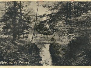 Veluwe - Bosvijver [002-5204