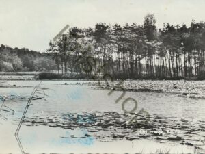 Oisterwijk - Kolkven [002-5213