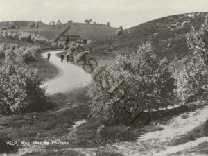 Velp - Weg naar de Posbank [002-5263
