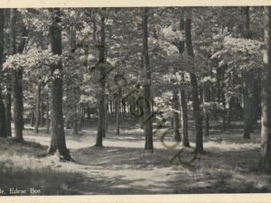 Ede - Edese Bos [002-5267