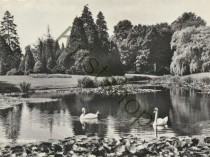 Enschede - Volkspark [002-5281