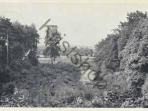Ommen - Steile Oever [002-5293