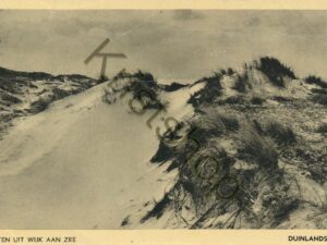 Wijk aan Zee - Duinlandschap [002-5299