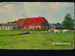 Epe - Kampeerhoeve - De Berghoeve [002-5389