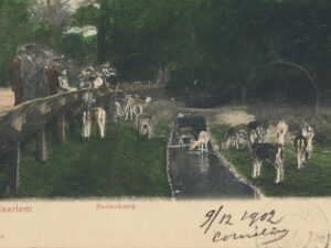 Haarlem - Hertekamp [002-6092
