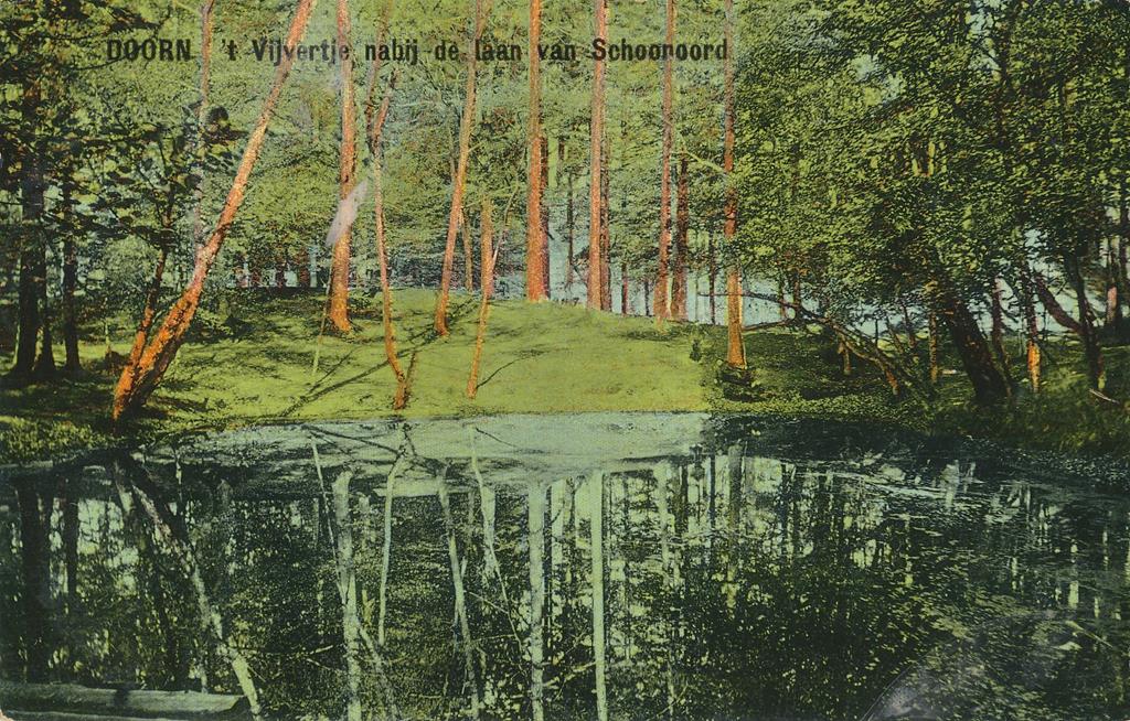 KRST002-6194_0.jpg Doorn - 't Vijvertje nabij de laan van Schoonoord [002-6194