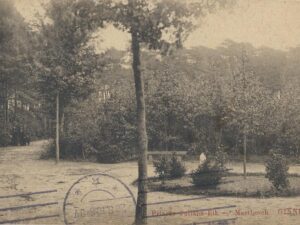 Ginneken - Prinses Juliana-Eik [002-6243