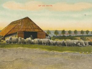 Op De Heide [002-6337