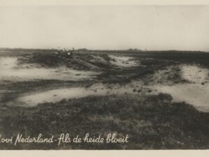 Mooi Nederland - Als de heide bloeit [002-6344
