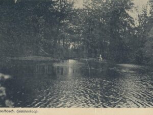 Oldeberkoop - Koepelbosch [002-6353