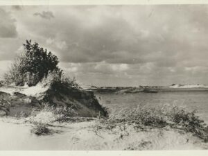 Verstuivend Duin [002-6371