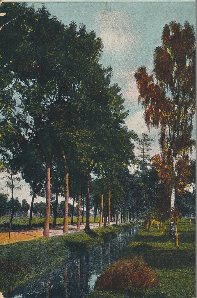 KRST002-6396_0.jpg Bomenlaan met beek - Zoekplaatje [002-6396