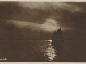 Maanlicht op zee [002-6597