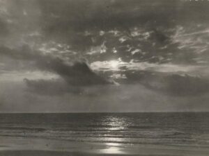 Avondstemming [002-6599