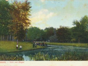 Bussum - Kom van Biegel [002-6642
