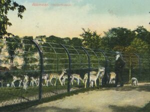 Alkmaar - Hertenkamp [002-6652