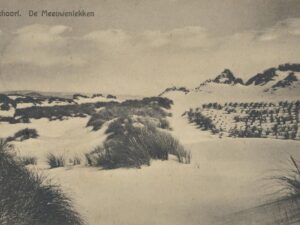 Schoorl - De Meeuwenlekken [002-6671